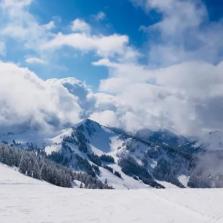 Angelo Aparts Portes Du Soleil Apartman Torgon