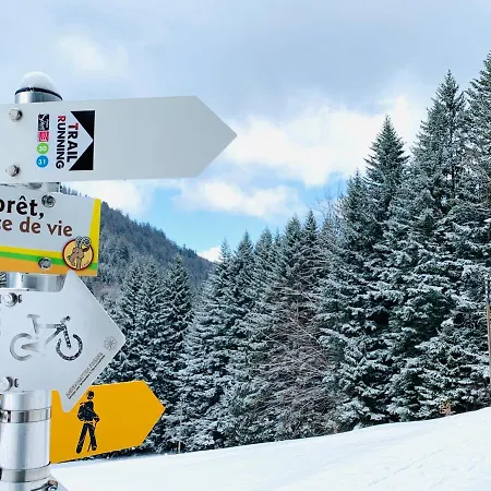 Angelo Aparts Portes Du Soleil * Torgon